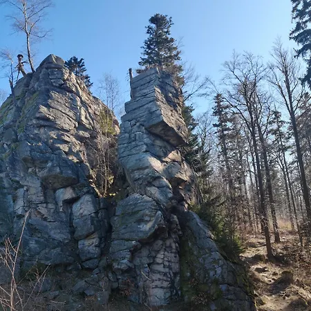 Zlotogorski 公寓 Lądek-Zdrój