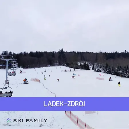 Zlotogorski 公寓 *