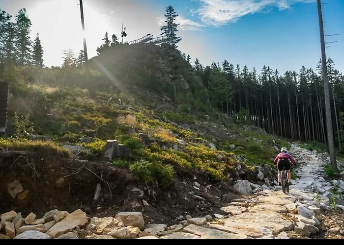 Zlotogorski Appartement