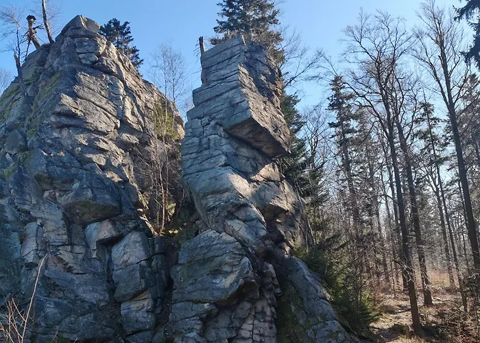Zlotogorski Appartement Lądek-Zdrój